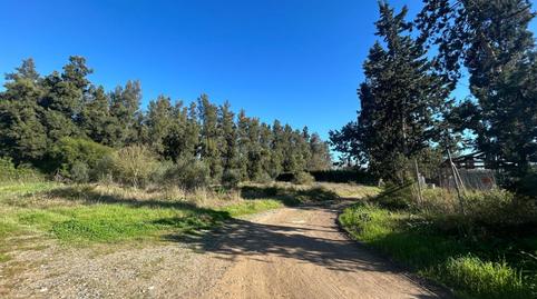 Photo 2 of Land for sale in Carretera Carretera Utrera Los Palacios, Estación - La Fontanilla - El Tinte, Utrera
