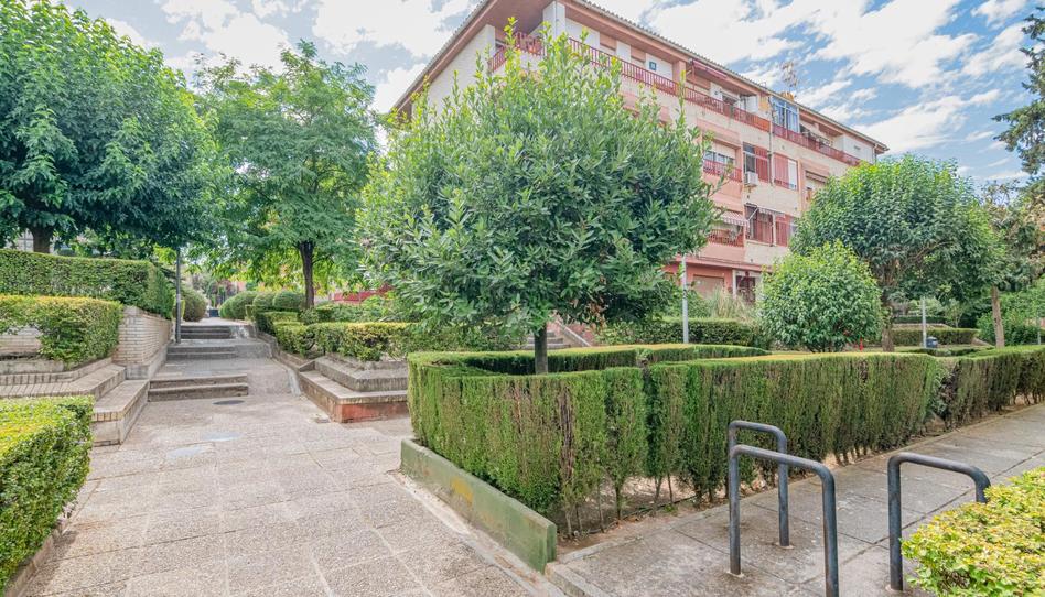 Photo 1 of Flat for sale in  Maria de Maeztu, Parque Nueva Granada, Granada