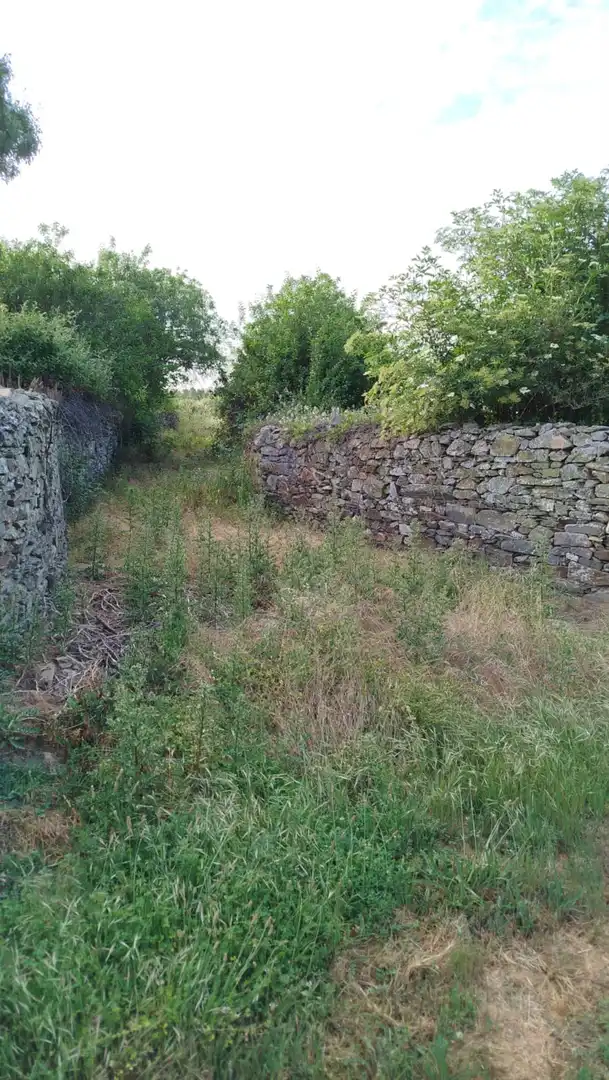 Terreni e lotti in vendita a Santiago Millas, imagen 4