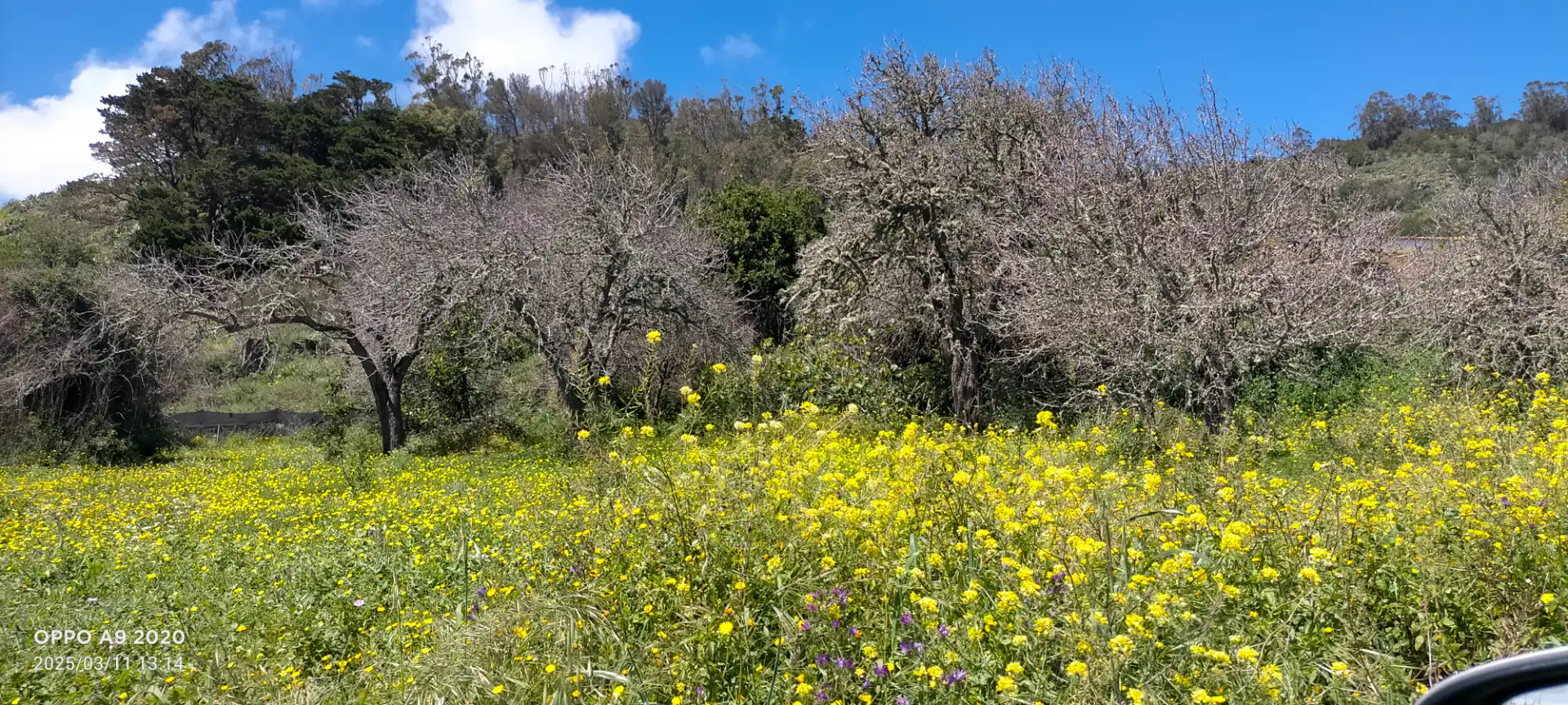 Finca rústica en venda en San Cristóbal de la Laguna amb Jardí privat, Parquet i Terrassa