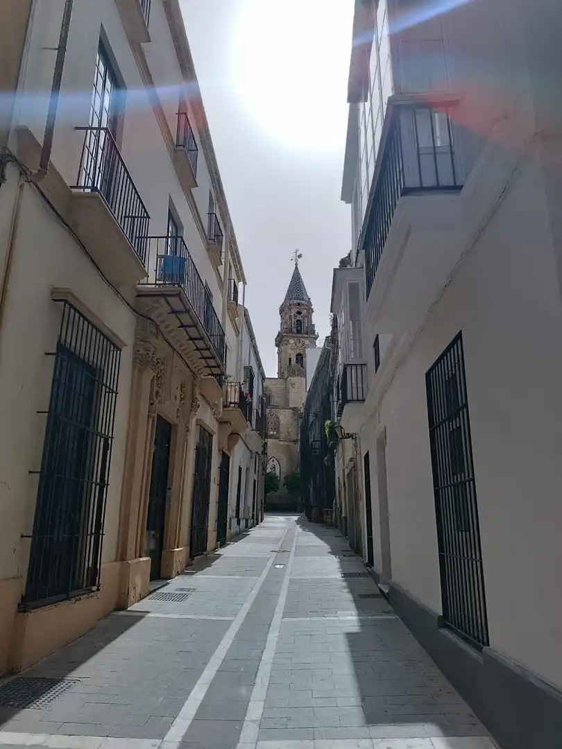 Houses for sale in El Rocío - La Milagrosa