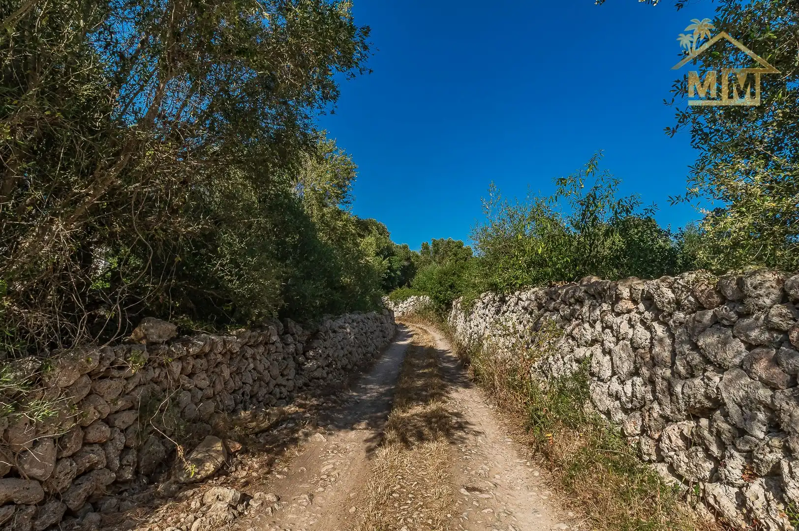 Vista exterior de Casa o chalet en venta en Es Castell con Aire acondicionado, Calefacción y Jardín privado