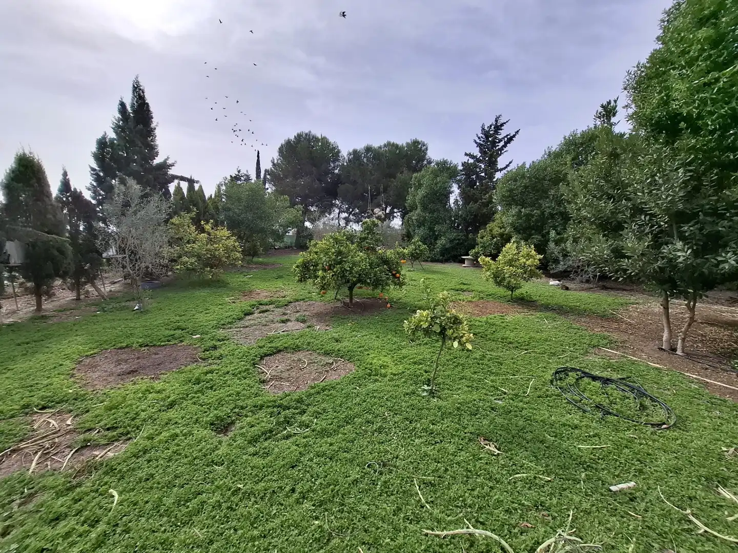 Finca rústica en venda a Partida Saavedra, El Edén