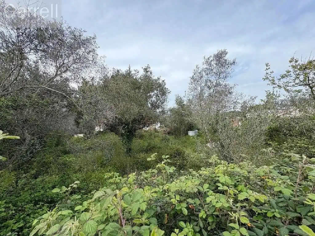 Houses for sale in Urbanizacion Can Ros Zona, Cabrera d'Anoia