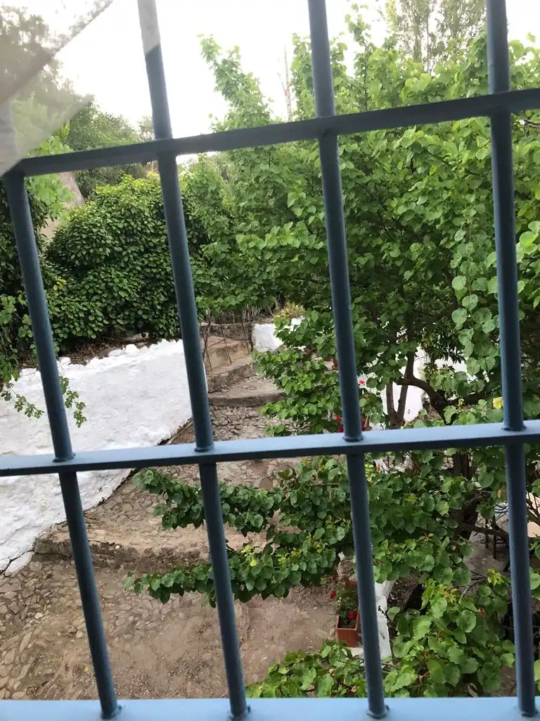Terreny rústic en venda a Zahara, imagen 4