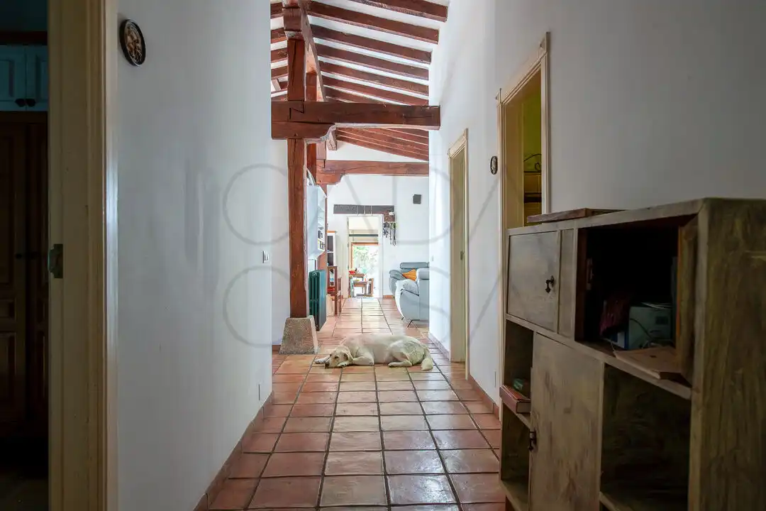 Casa con jardín en venta en Diseminado Liaño, imagen 22