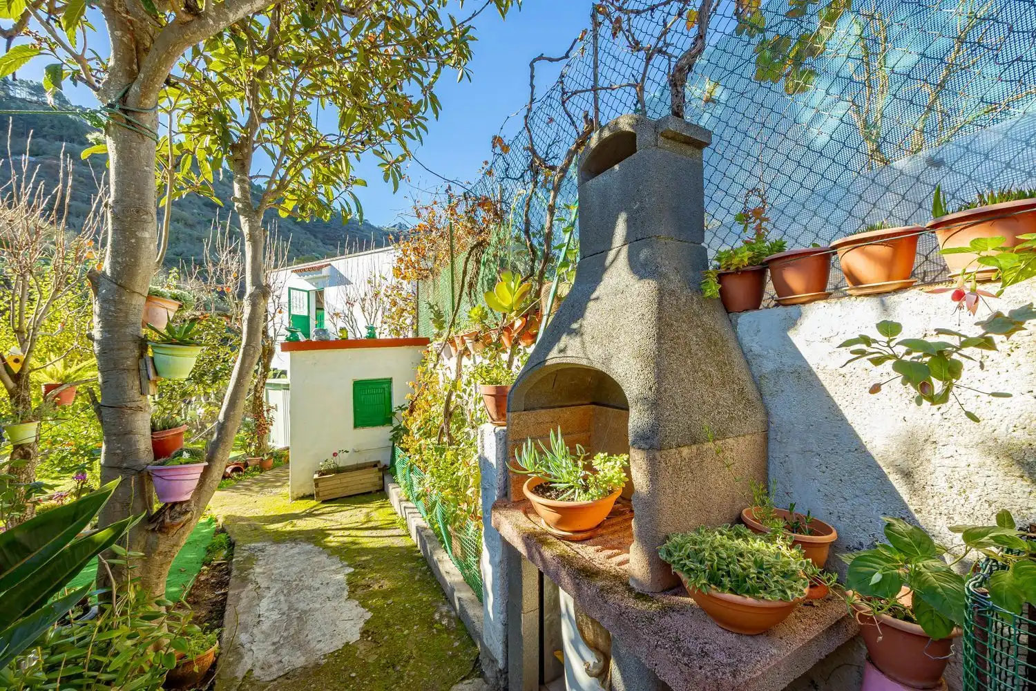 Jardí de Casa o xalet en venda en Vega de San Mateo amb Jardí privat i Terrassa