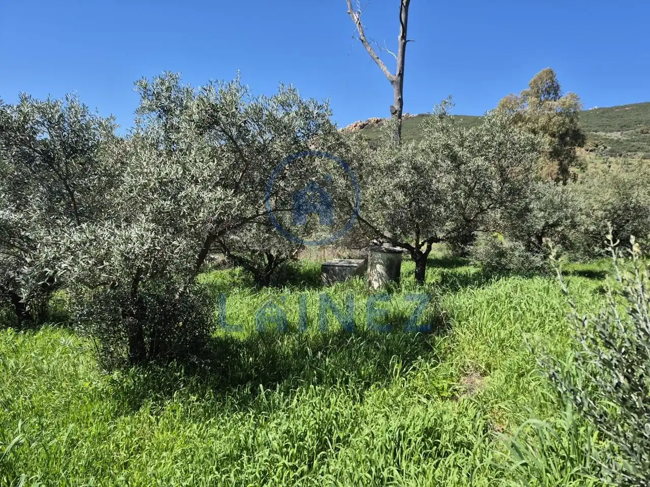 Grundstücke zum Verkauf in Peñarroya-Pueblonuevo