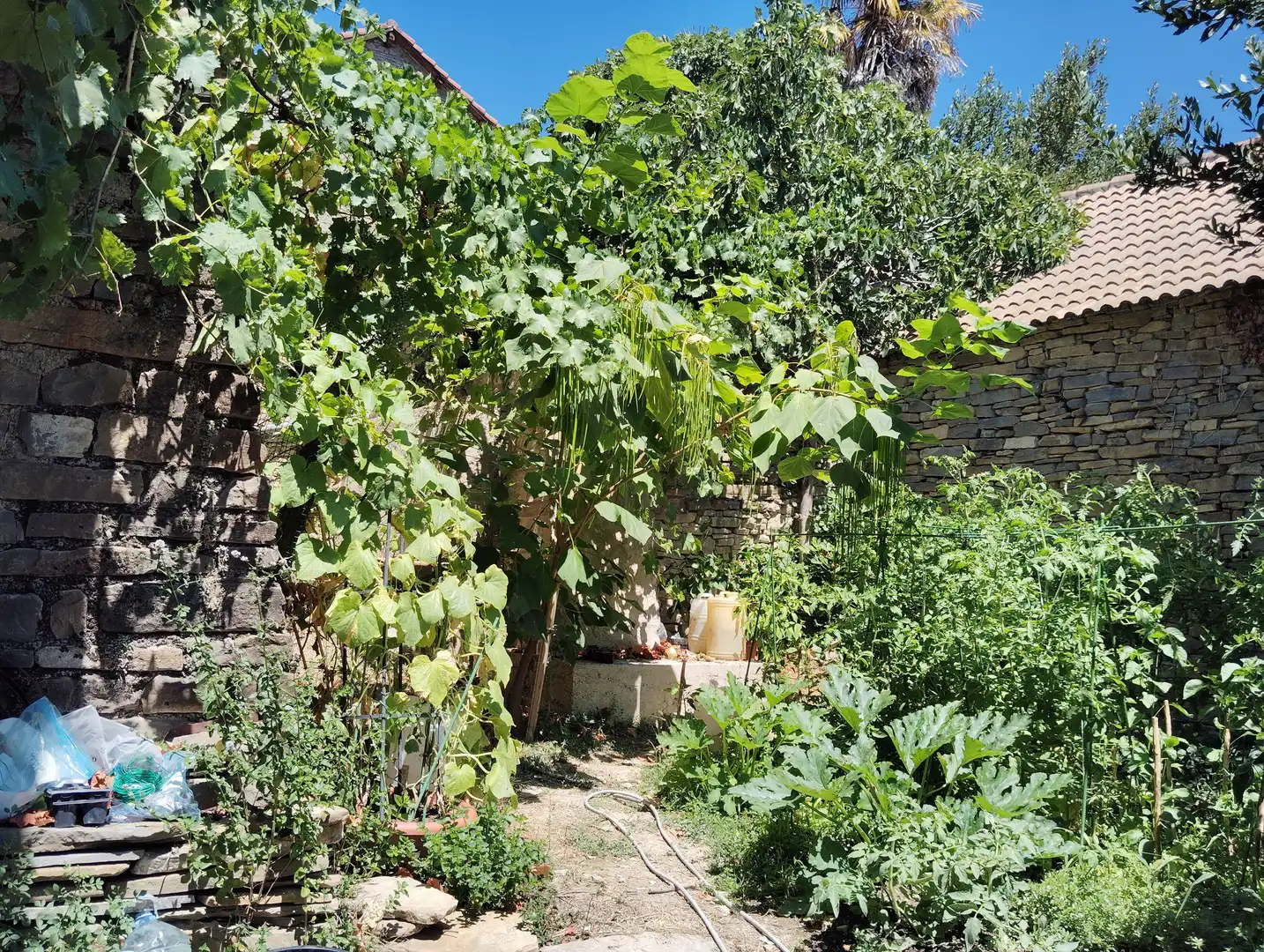 Casa rústica en venda a Poblaciones norte, imagen 36