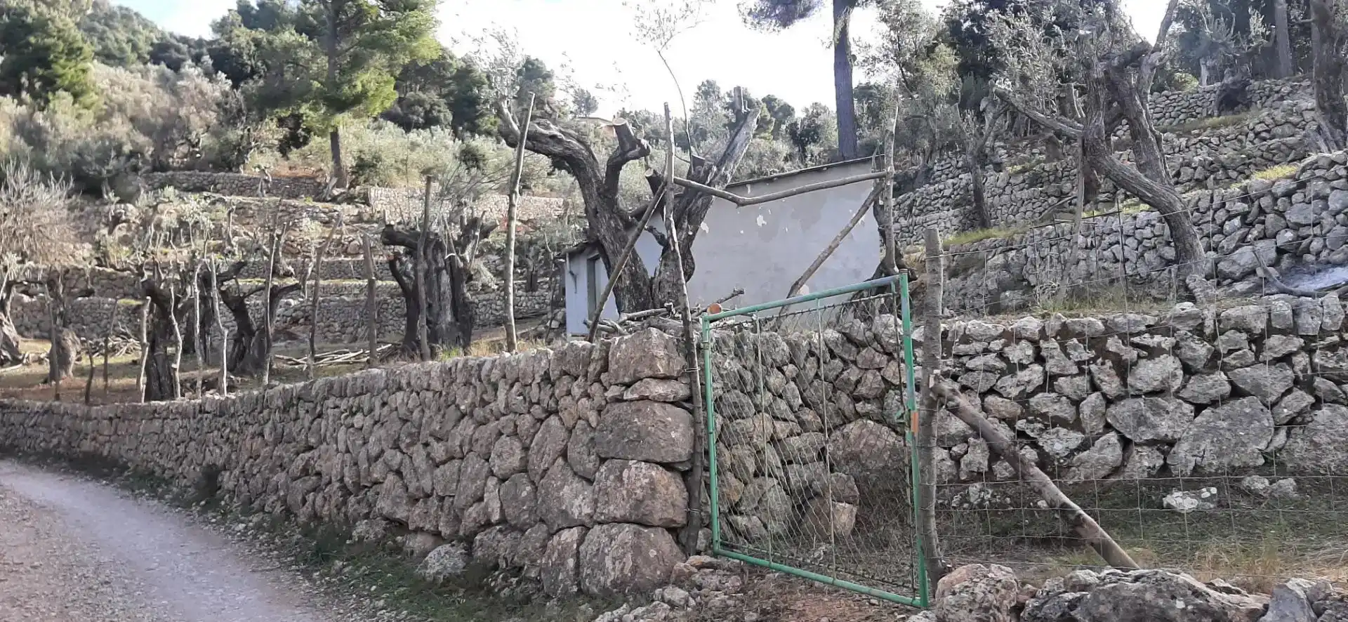 Grundstücke zum Verkauf in Fornalutx, Illes Balears