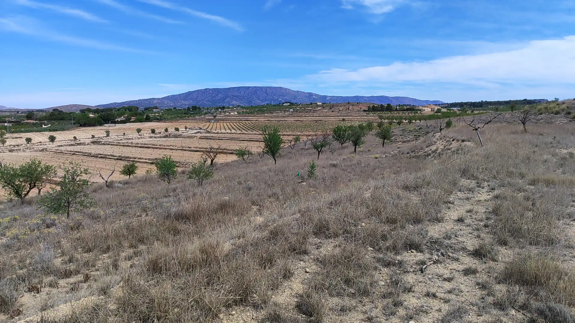 Terreno en venta en Camino del Toscar, 11, El Pinós / Pinoso