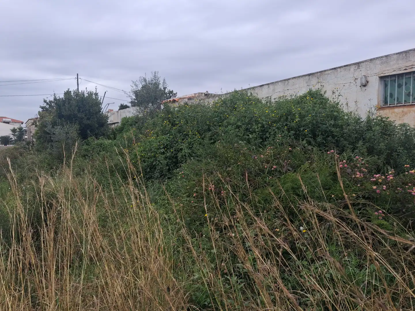 Rural land for sale in Zona Papa Luna - Platja del Gurugú
