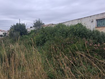 Terreno rustico in vendita a Zona Papa Luna - Platja del Gurugú