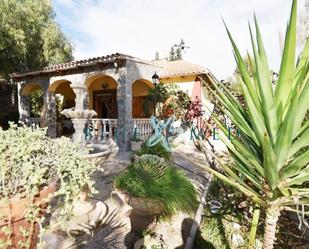 Vista exterior de Casa o xalet en venda en Ricote amb Terrassa