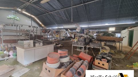 Foto 5 de Finca rústica en venda a Centro, Chipiona