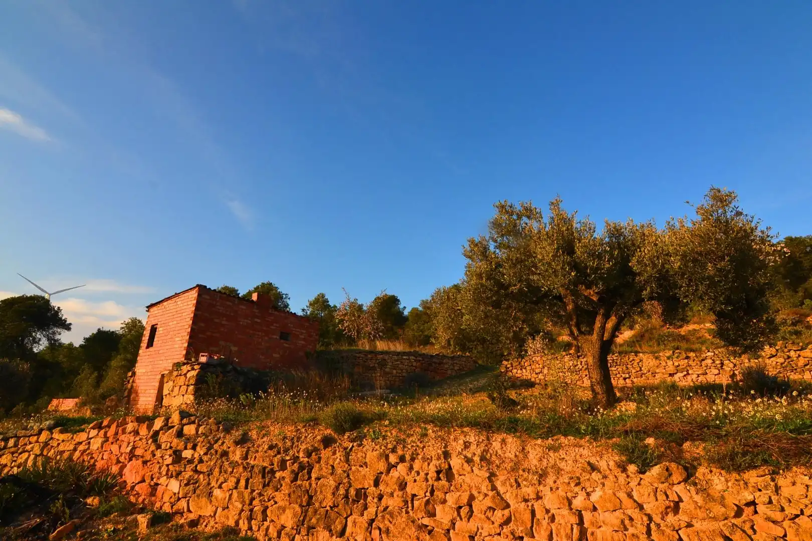 Rural land for sale in Corbera d'Ebre, imagen 84