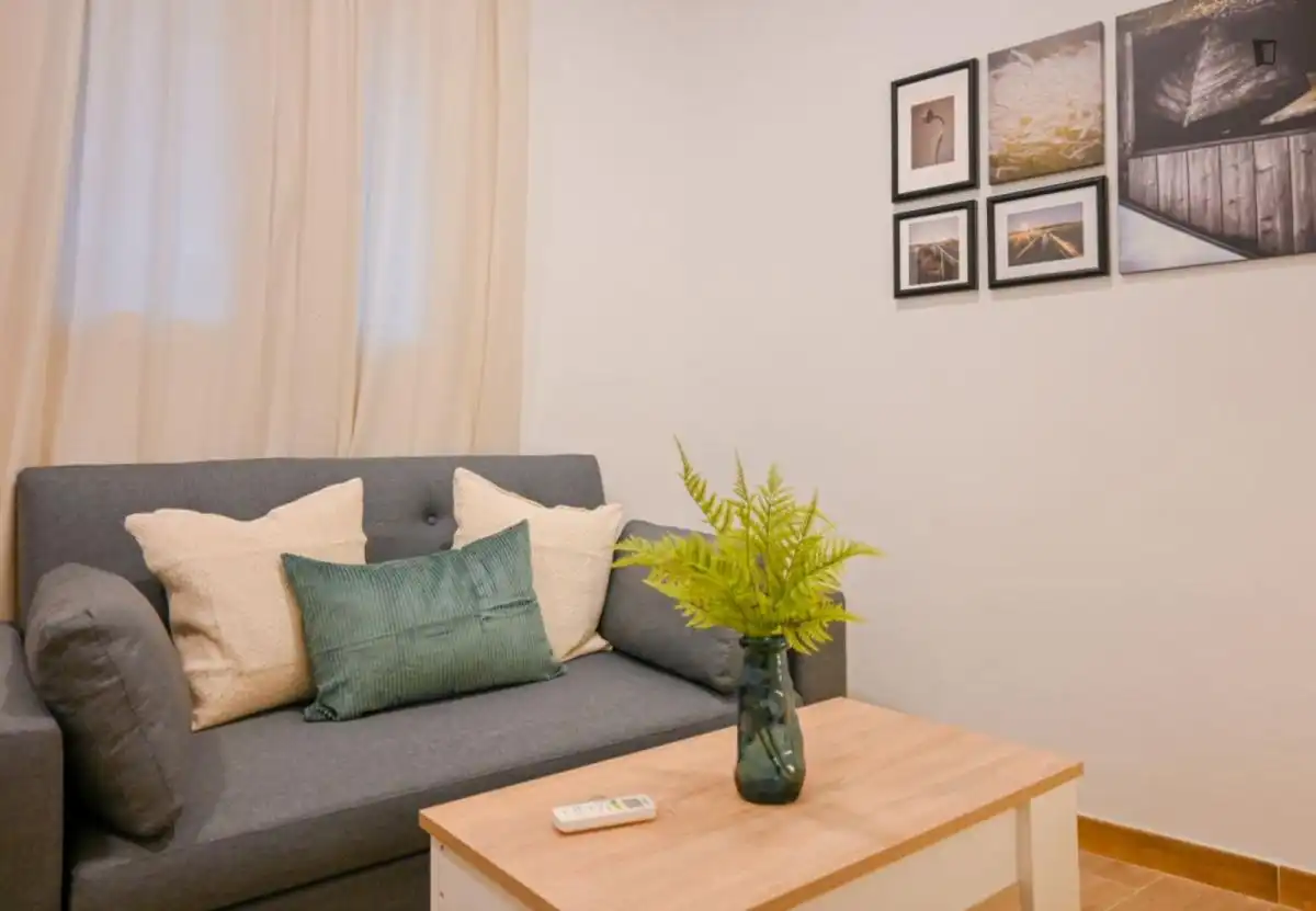 Sala d'estar de Apartament de lloguer en Madrid amb Aire condicionat, Moblat i Rentadora
