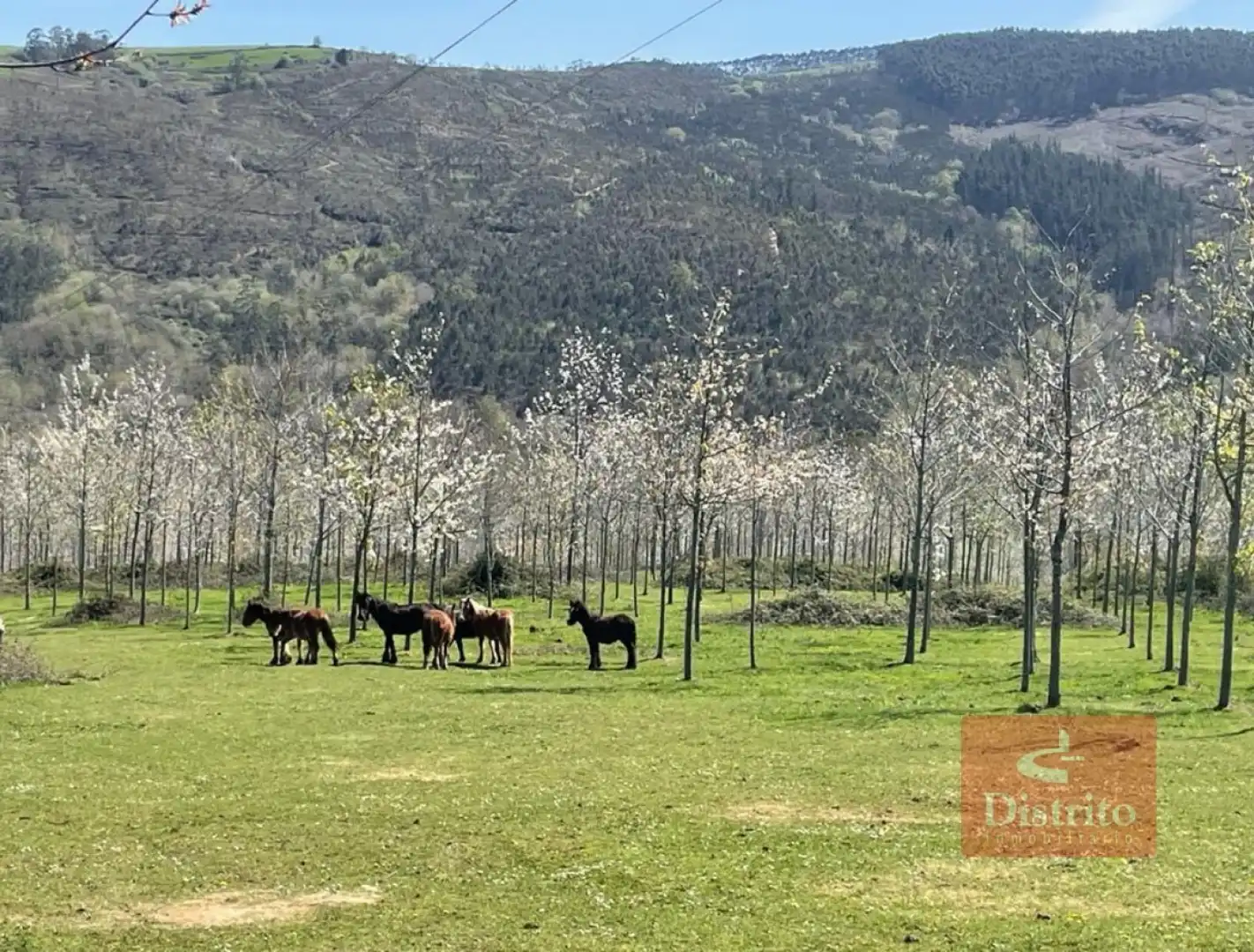 Terreni e lotti in vendita a Valdáliga - barrio la herrería, imagen 18
