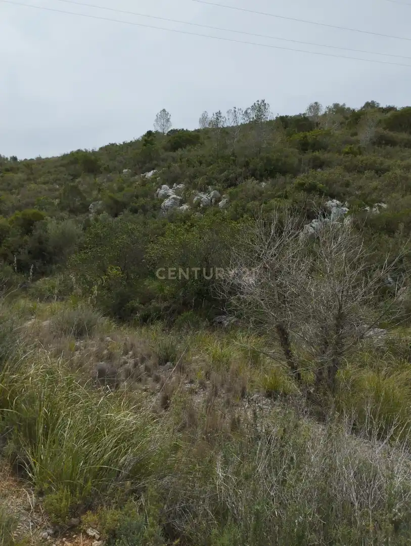 Terreny rústic en venda a poligono 3, imagen 12