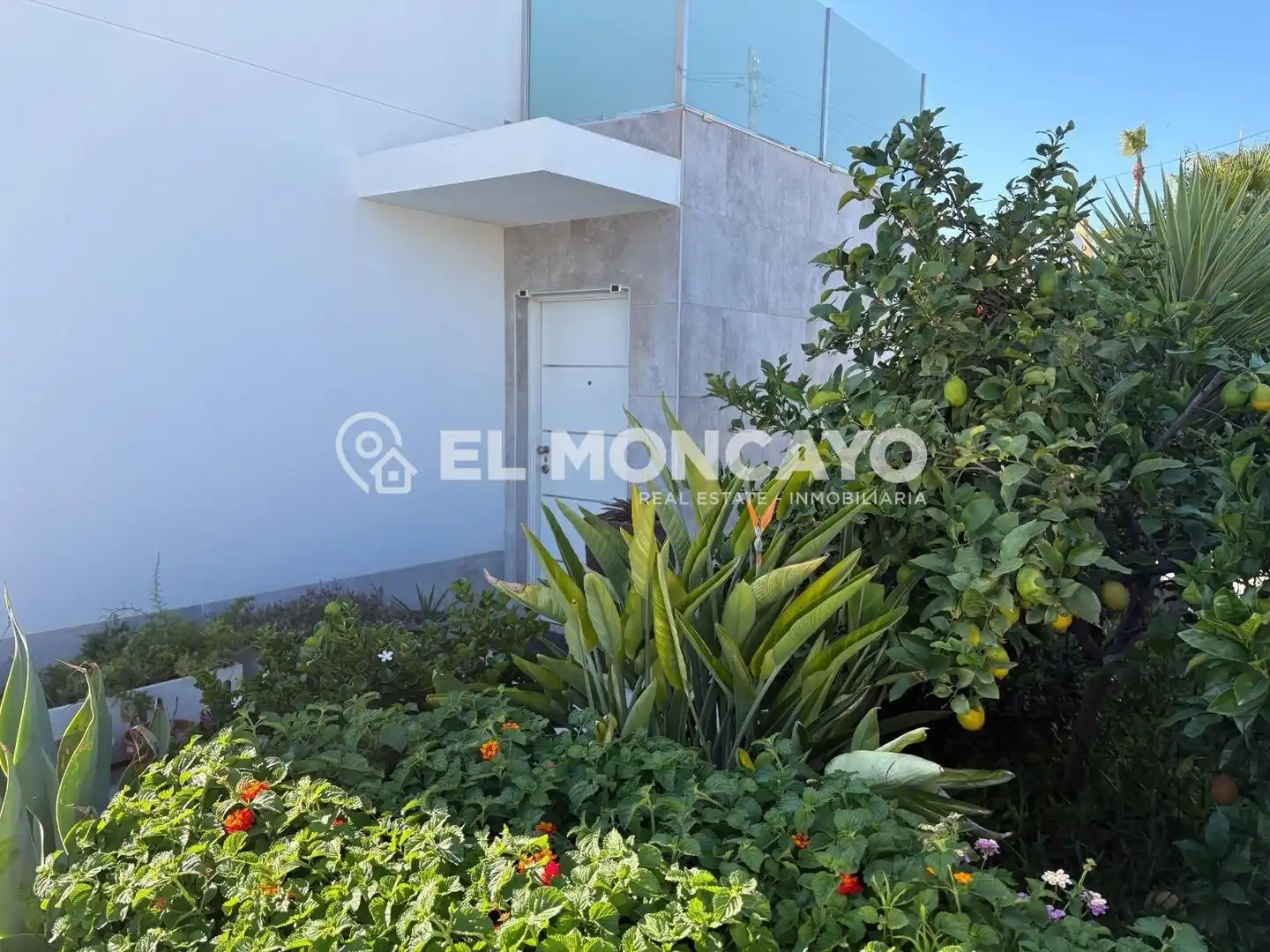 Vista exterior de Casa o chalet en venta en Torrevieja con Jardín privado, Terraza y Piscina