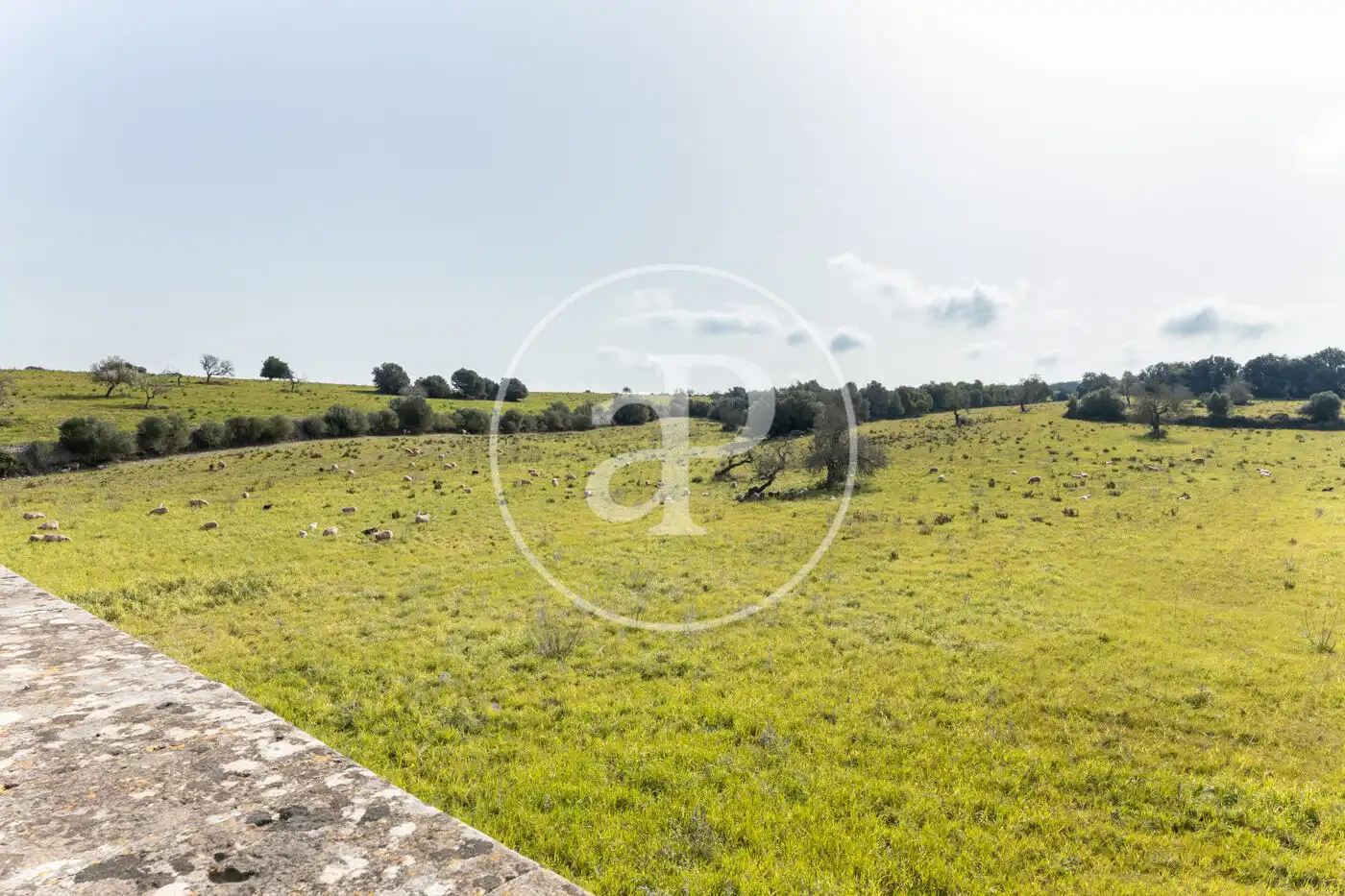 Finca rústica en venta en Archena con Calefacción, Jardín privado y Terraza