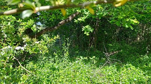 Foto 4 de Residencial en venda a Ametzabide Kalea, 64, Mungia, Bizkaia