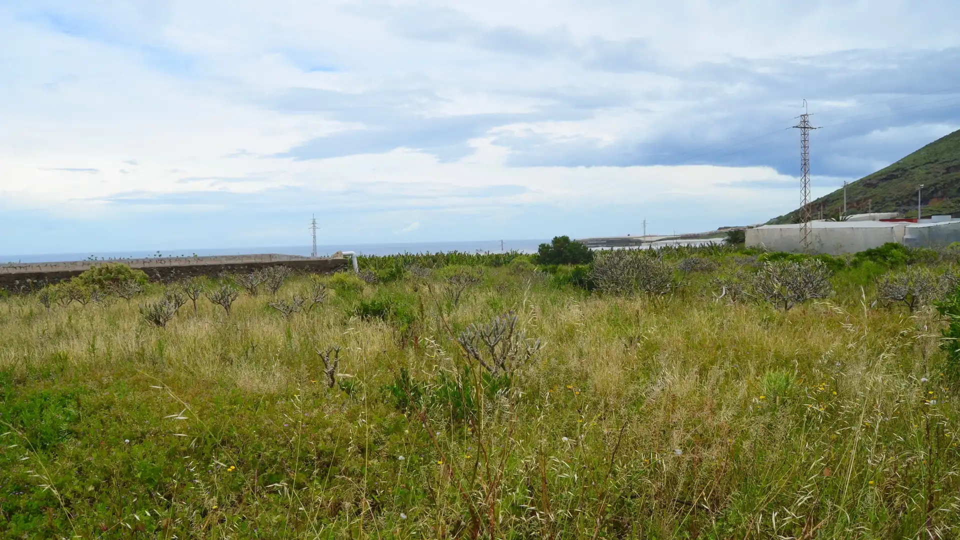 Residential for sale in Buenavista del Norte