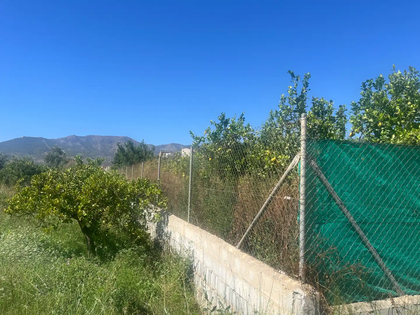 Rustikales Grundstück zum Verkauf in Calle Azahar, imagen 21
