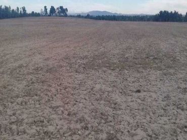 Terreni e lotti in vendita a Huerta de Rey