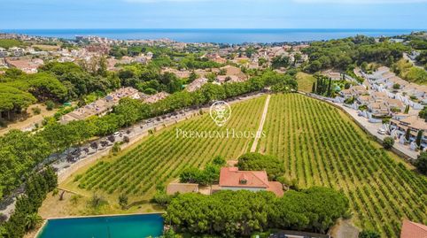 Fantástica finca centenaria con piscina en venta en el centro de Alella, imagen 2