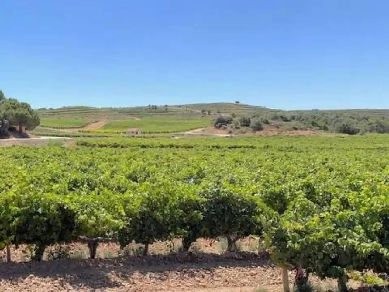 Houses for sale in Aranda de Duero