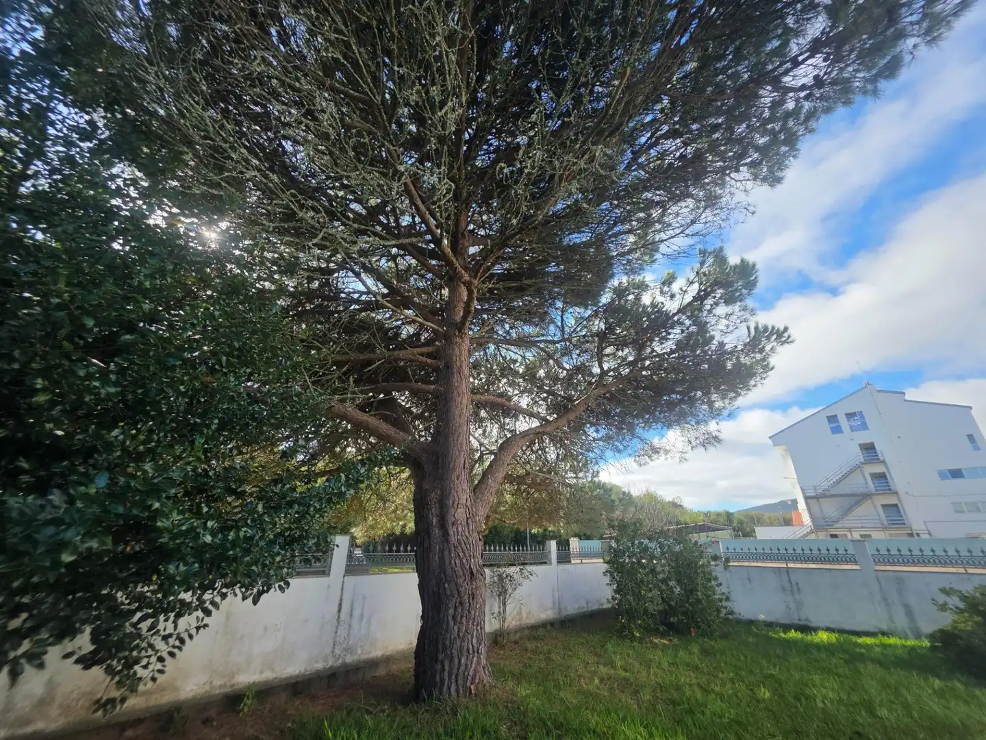 Villa in vendita a VENECIA, imagen 76