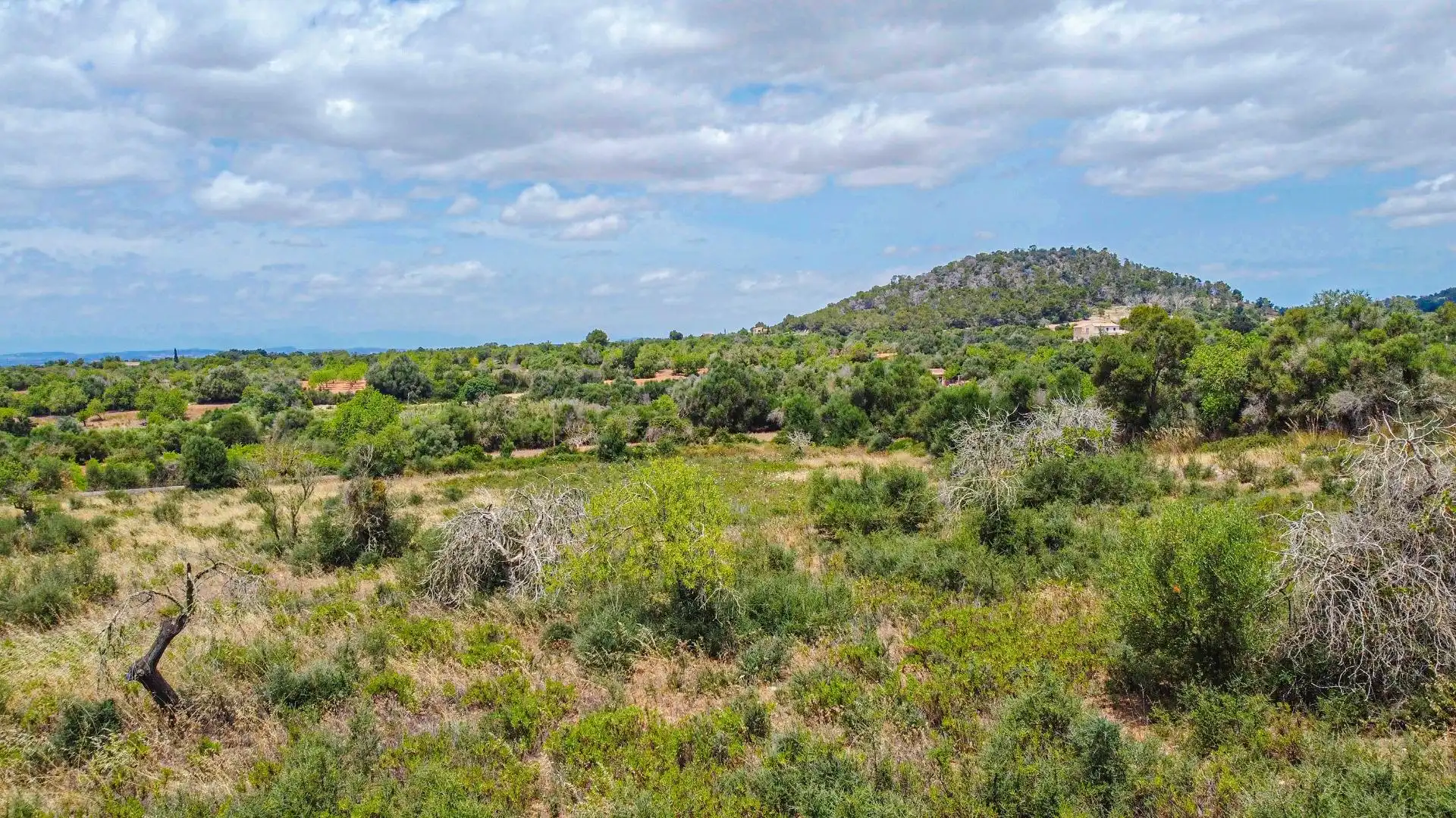 Lands and plots for sale in Felanitx Poble, imagen 3