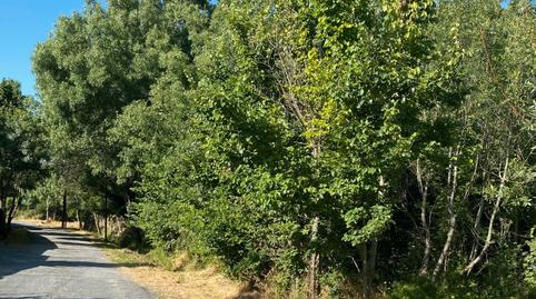 Foto 3 de Casa o xalet en venda a Camino Pelayos, Sotosalbos, Segovia