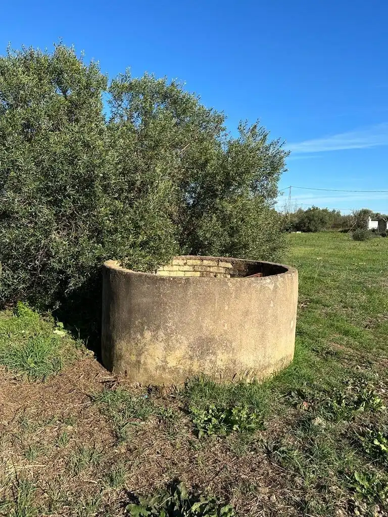 Terreny rústic en venda a Pedanías Norte, imagen 14