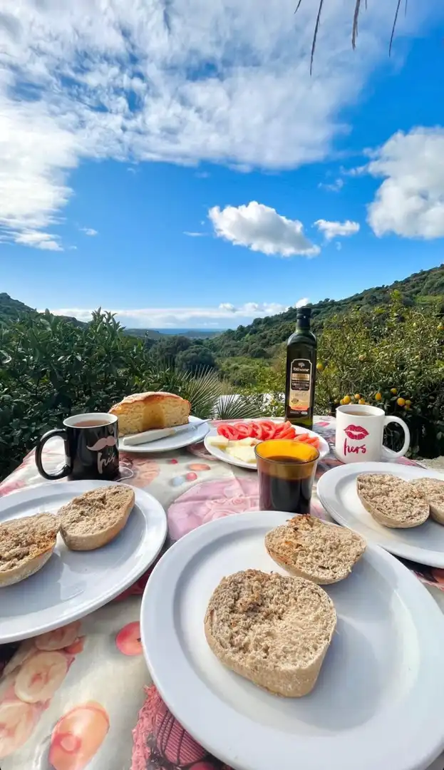 Finca rústica en venta en Altos de Estepona