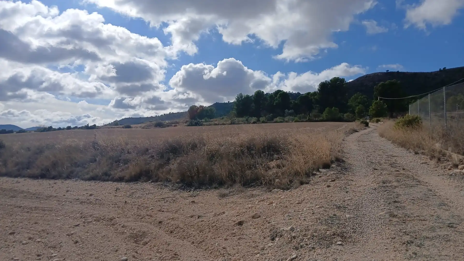 Residential land for sale in Yecla, imagen 14