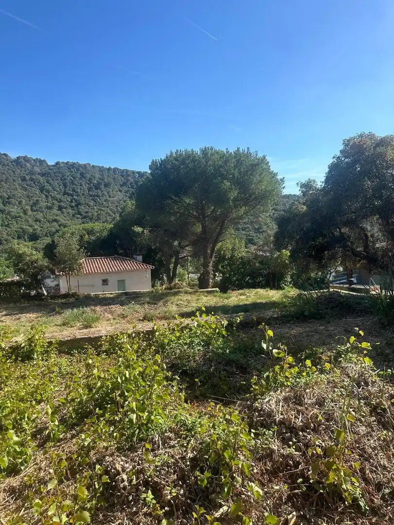 Terrains et parcelles à vendre à DE LA GRALLA, imagen 5