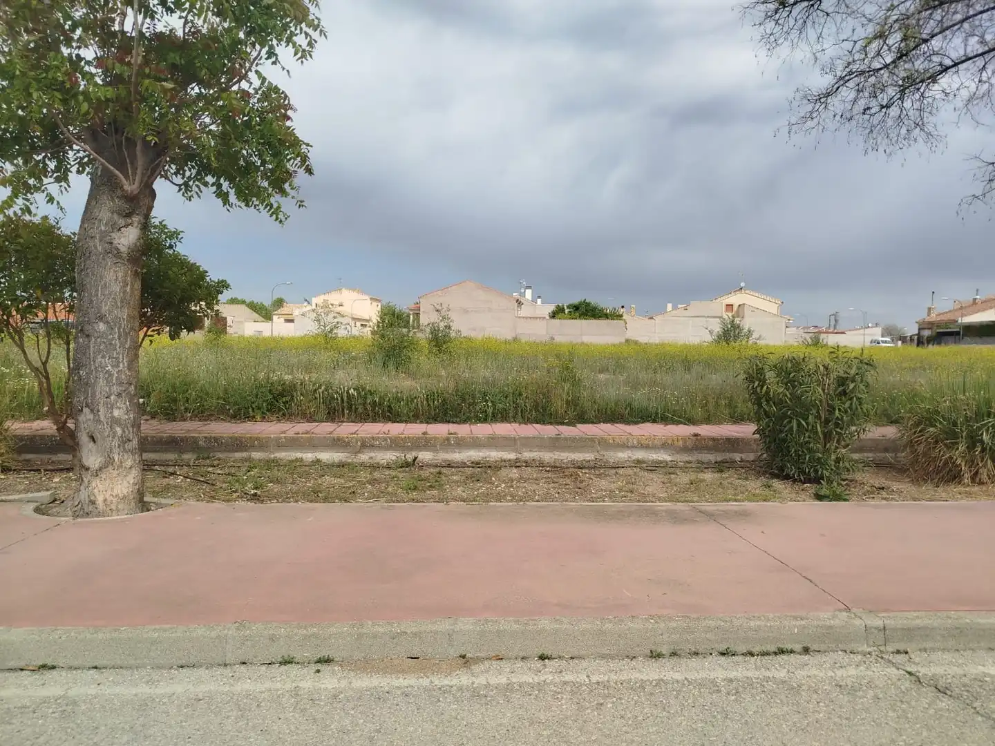 Lands and plots for sale in Corral de Almaguer