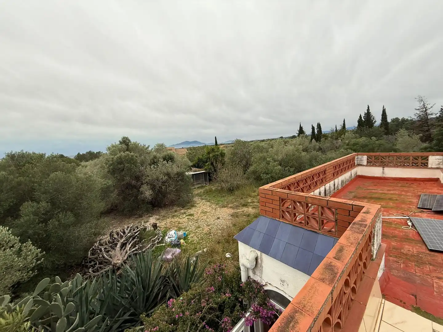 Jardín de Finca rústica en venta en Camarles