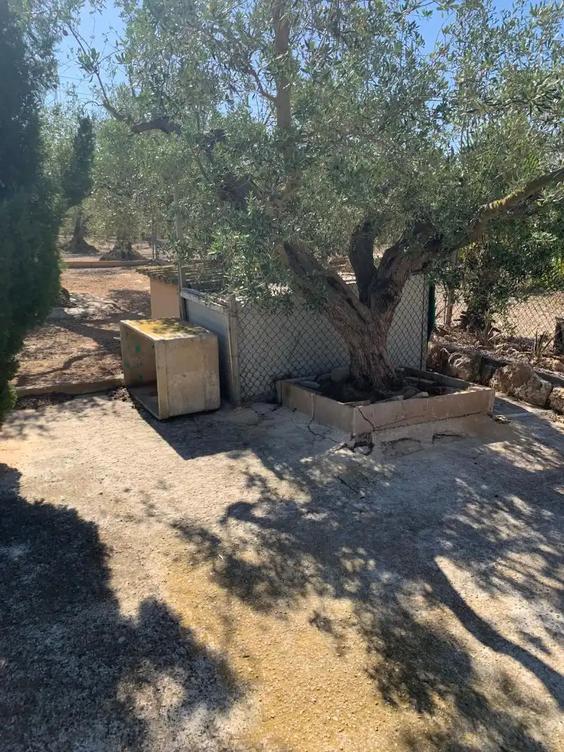 Jardí de Finca rústica en venda en Camarles amb Aire condicionat, Calefacció i Jardí privat