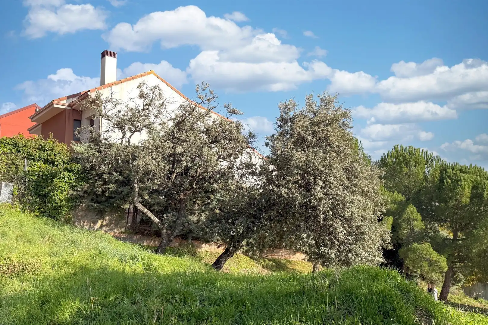 Terreno residenziale in vendita a TOMILLAR 38, imagen 16
