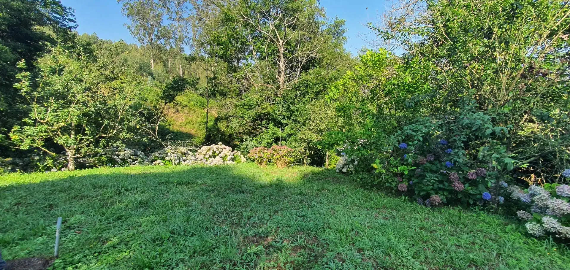 Casa o chalet en venta en Castropol con Calefacción, Jardín privado y Terraza
