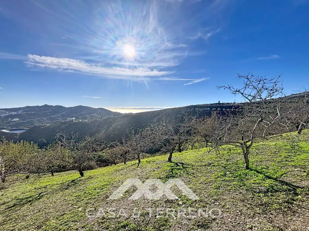 Casa o chalet en venta en Macharaviaya con Aire acondicionado, Jardín privado y Terraza