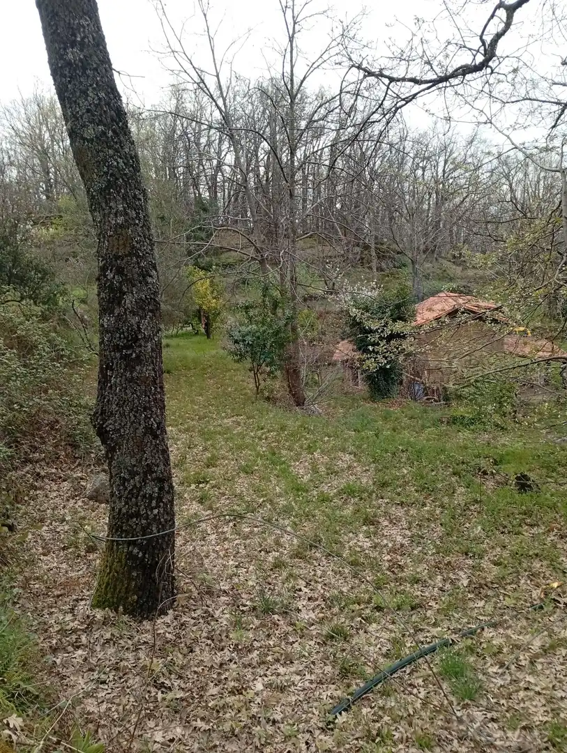 Terreni e lotti in vendita a Valverde de la Vera, imagen 32