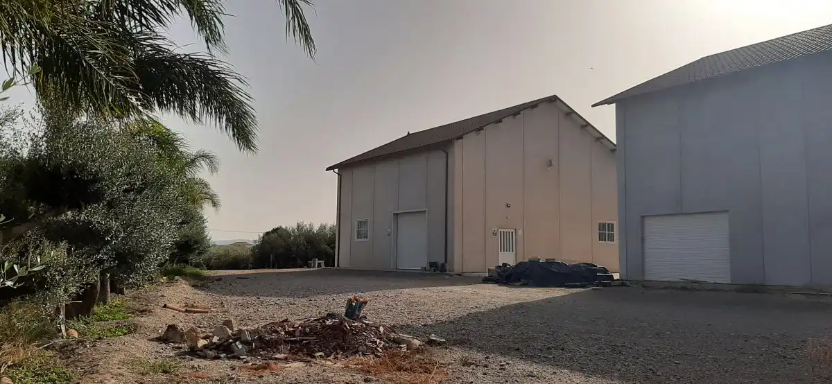Vista exterior de Casa o chalet en venta en Lorca