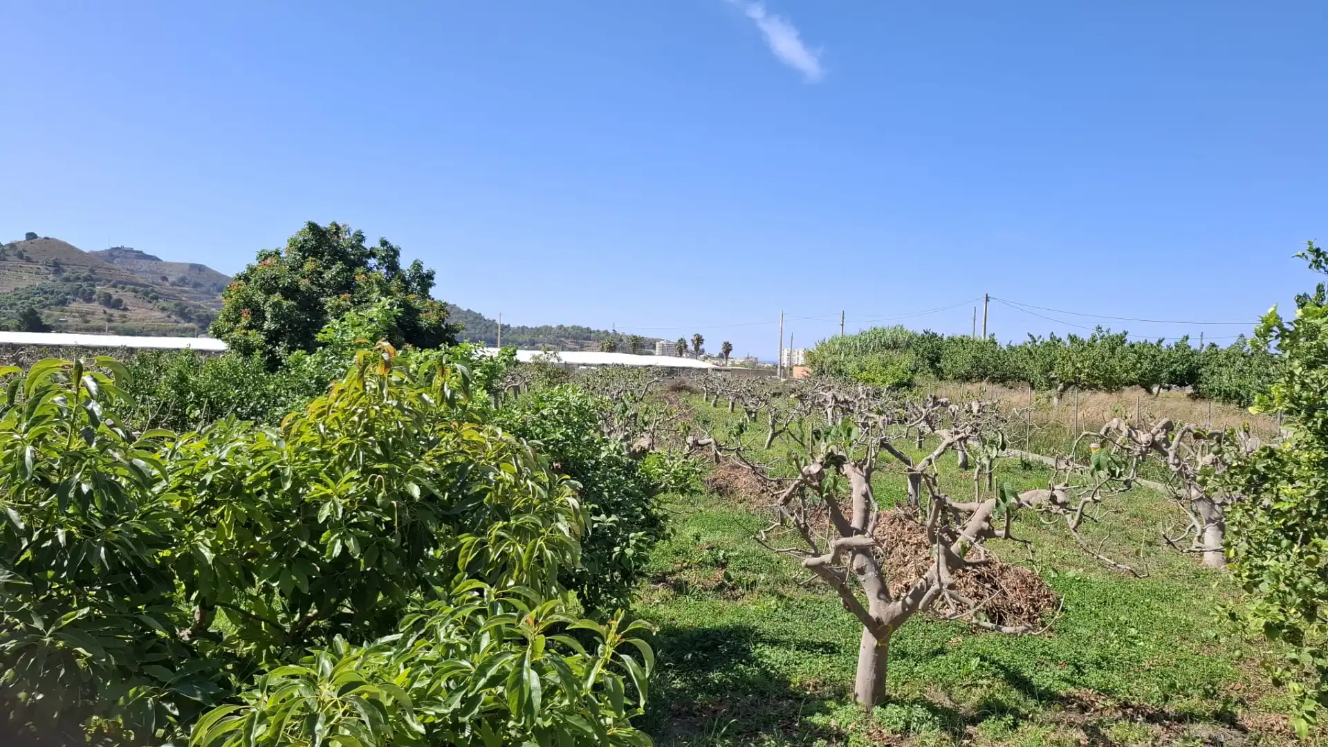 Land for sale in Torrenueva Costa