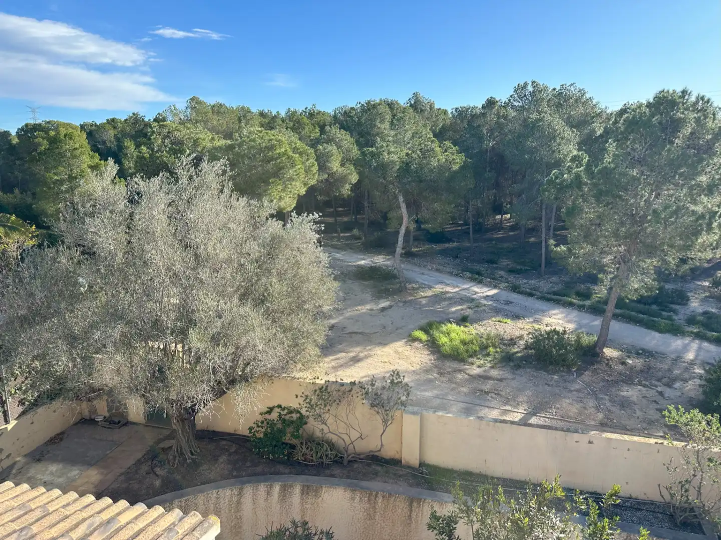 Houses for sale in Carrer Benifaió, Entrepinos