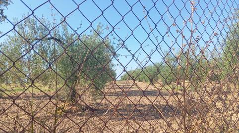 Foto 4 de Residencial en venda a Ramal de Espartinas, Sevilla