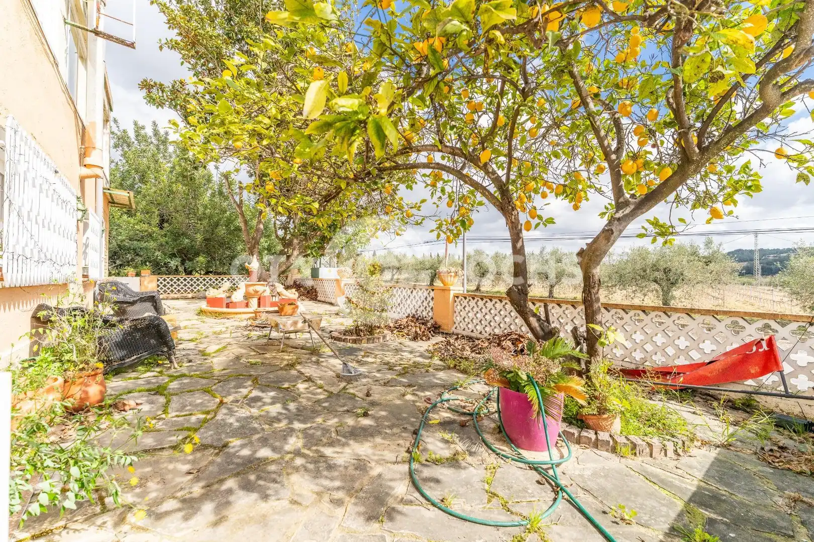 Garden of Industrial buildings for sale in Vallmoll